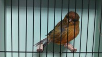 /album/%cf%84%ce%b1-%cf%80%ce%bf%cf%85%ce%bb%ce%ac%ce%ba%ce%b9%ce%b1-%ce%bc%ce%b1%cf%82/norwich-2012-jpg/